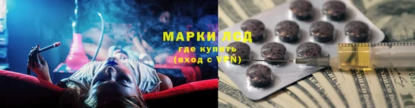 сатива Краснотурьинск