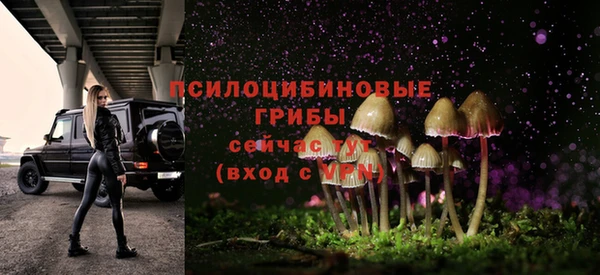 сатива Краснотурьинск