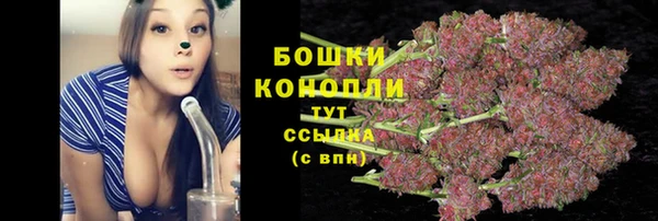 сатива Краснотурьинск