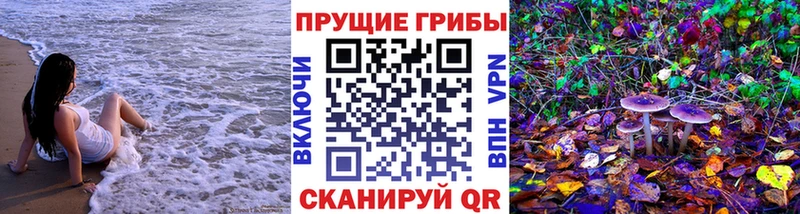 Галлюциногенные грибы GOLDEN TEACHER  Купить закладки  Медвежьегорск 
